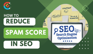 How to Reduce spam score in SEO