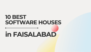 Best Software House