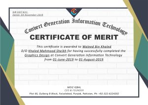 Professional Certificate - Issued by Convert Generation Information Technology - CGit